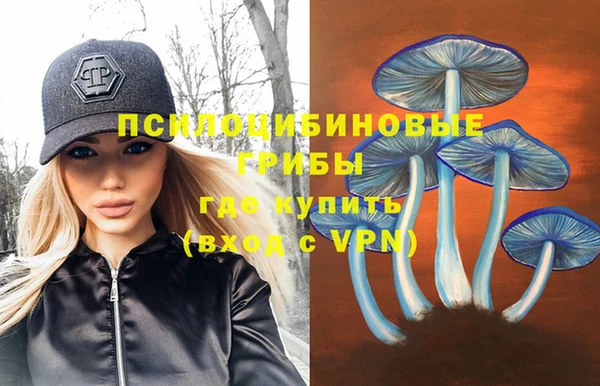 соль курить ск Алзамай